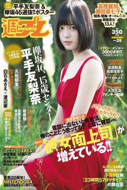 电视剧歧路兄弟