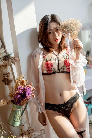三个王爷一个妃