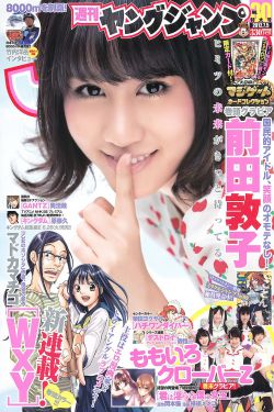 荒野生存21天不打马赛原版
