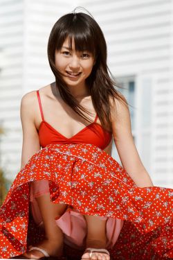 《虎胆雄心第二部》