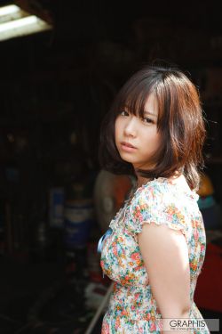 爱了散了 电视剧