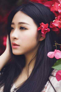 沥青杉木板