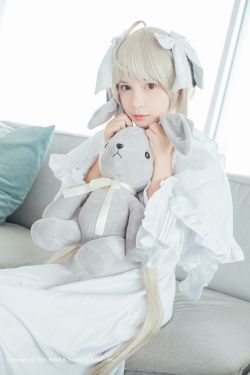 《西北狼电视剧》
